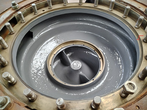 浸泡级环氧涂层BE401应用于净化厂水泵防腐